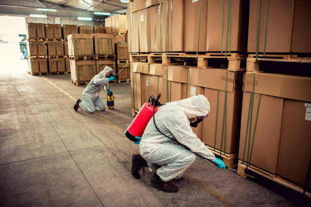 Best Bed Bug Extermination  in Delphi, IN