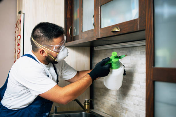 Best Wasp Removal Services  in Delphi, IN