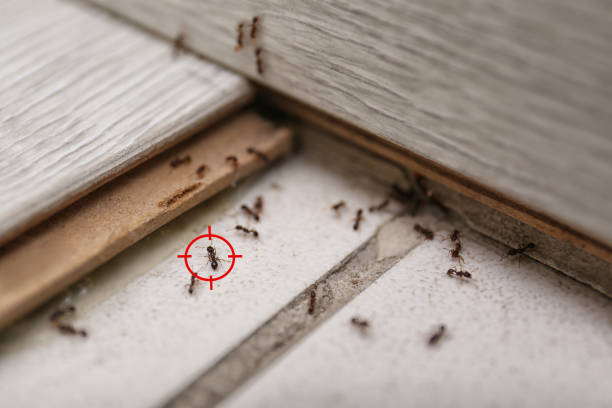 Best Exterminator Services  in Delphi, IN