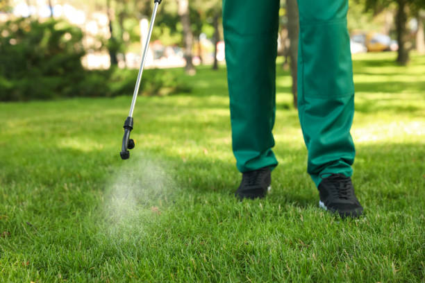 Best Emergency Pest Control  in Delphi, IN