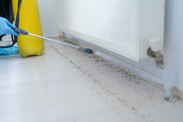 Best Affordable Pest Control Services  in Delphi, IN