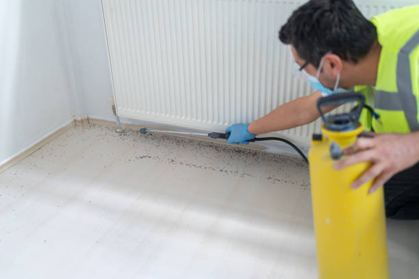 Best Ant Control Services  in Delphi, IN