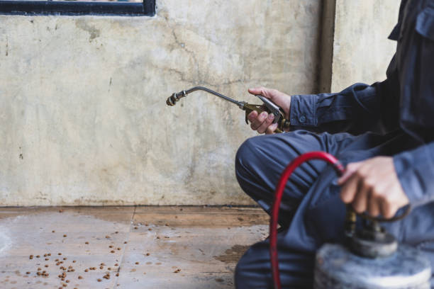 Best Pest Prevention Services  in Delphi, IN
